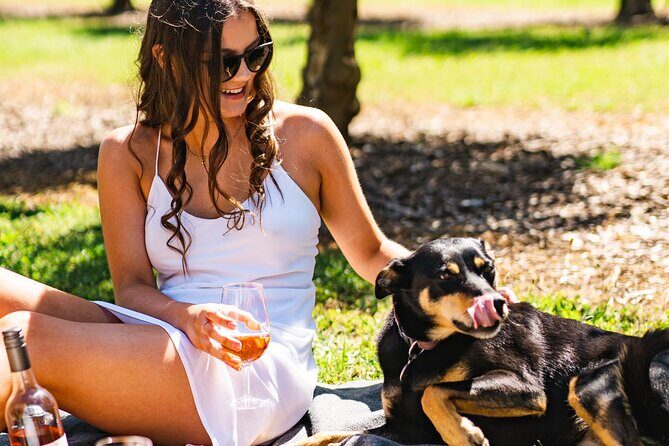 Kings Canyon to Alice Springs Transfer - Cost and Value