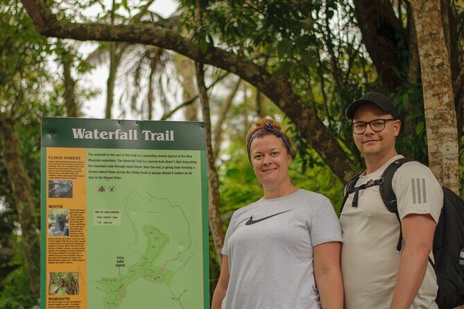 Kingston Airport to Ocho Rios Hotels and St Anns One Way - Who Will Love This Service?