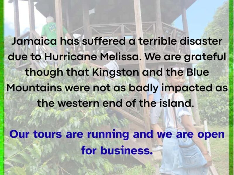 Kingston Blue Mountains Tour with Coffee Tasting - What Reviewers Love Most