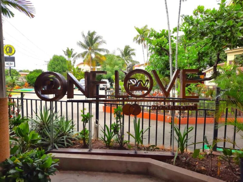 Kingston: Bob Marley Museum Tour from Montego Bay - A Well-Organized Journey into Bob Marley’s World