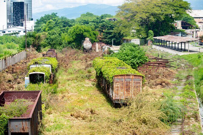 Kingston City Classic Guided Tour - FAQ