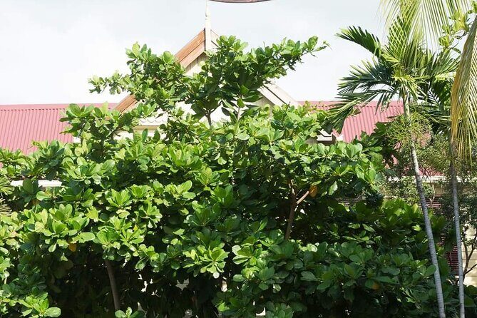 Kingston City Day Experience - FAQs