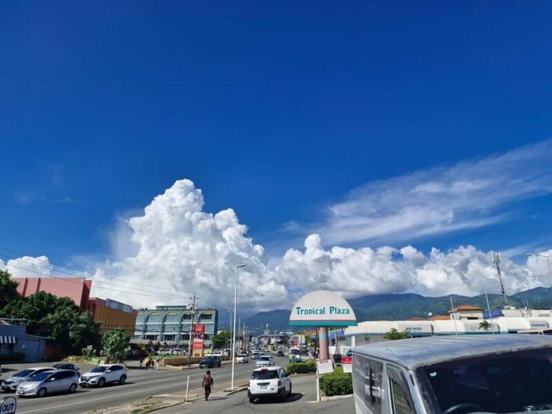 Kingston like a local  the authentic city tour - The Experience in Action