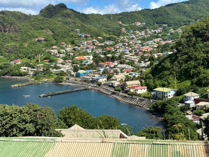 Kingstown: Cascading Dark View Falls and Beach Tour - What Travelers Are Saying