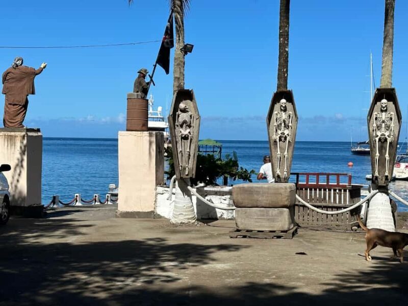 Kingstown: Cascading Dark View Falls and Beach Tour - Final Thoughts: Is This Tour Right for You?