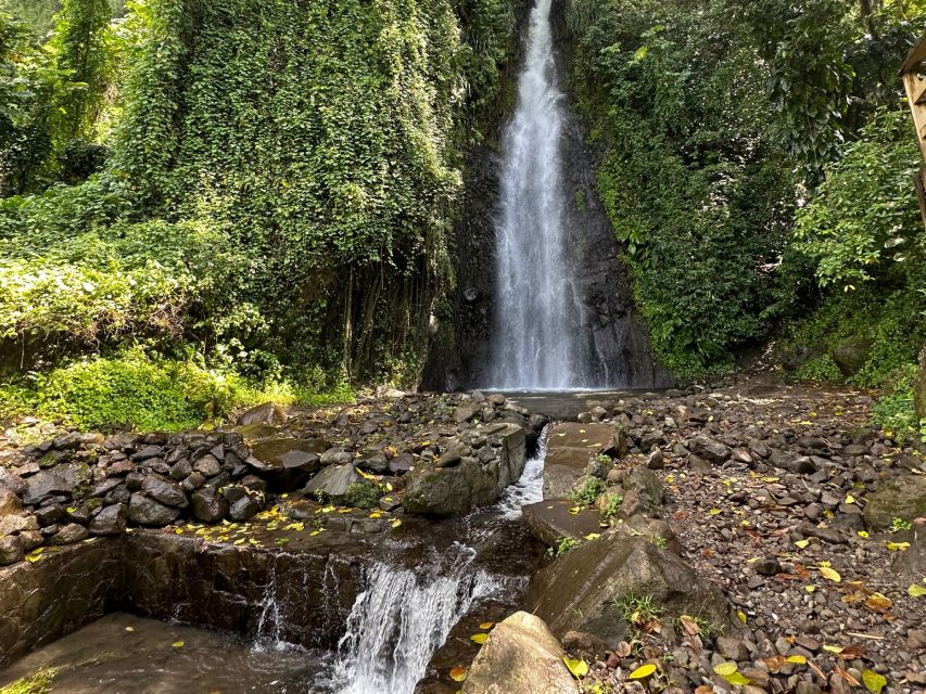 Kingstown: Cascading Dark View Falls and Beach Tour - Activities Offered