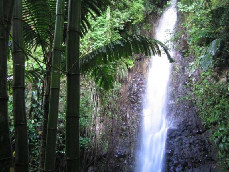 Kingstown: Dark View Falls Tour with Pickup - Returning and Additional Highlights