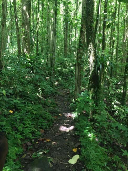 Kingstown: Vermont Nature Trail Hike with Parrot Viewing - Value and Practicality: Is It Worth It?