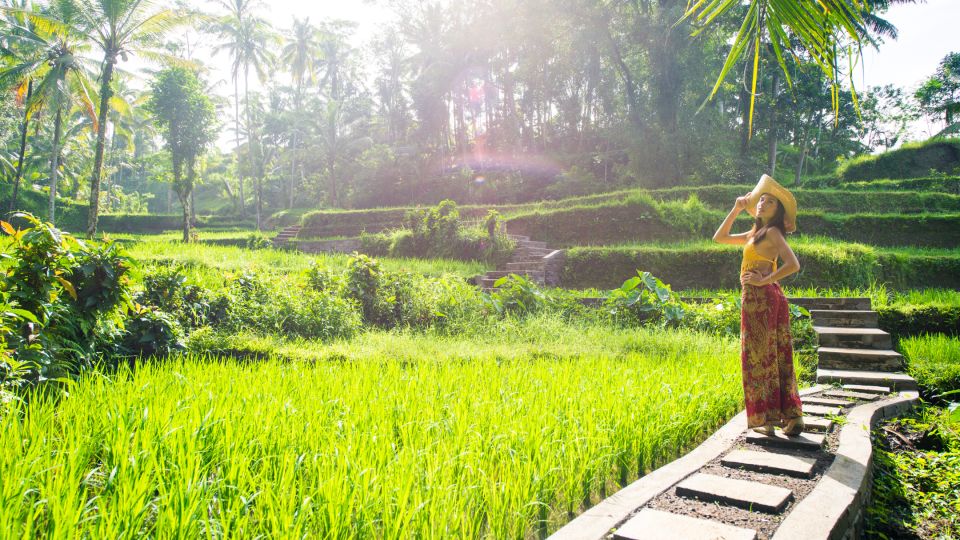 Kintamani All In: Tegalalang, Tirta Empul, Penelokan and Others - Tegalalang Rice Terrace Exploration