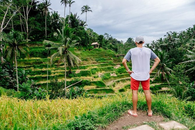 Kintamani Private Tour:Tegalalang Rice Terraces, Goa Gajah Temple - Itinerary Highlights