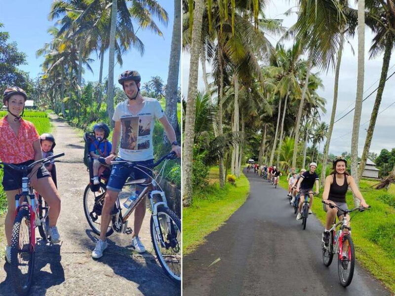 Kintamani to Ubud Downhill Cycling Tour - The Sum Up