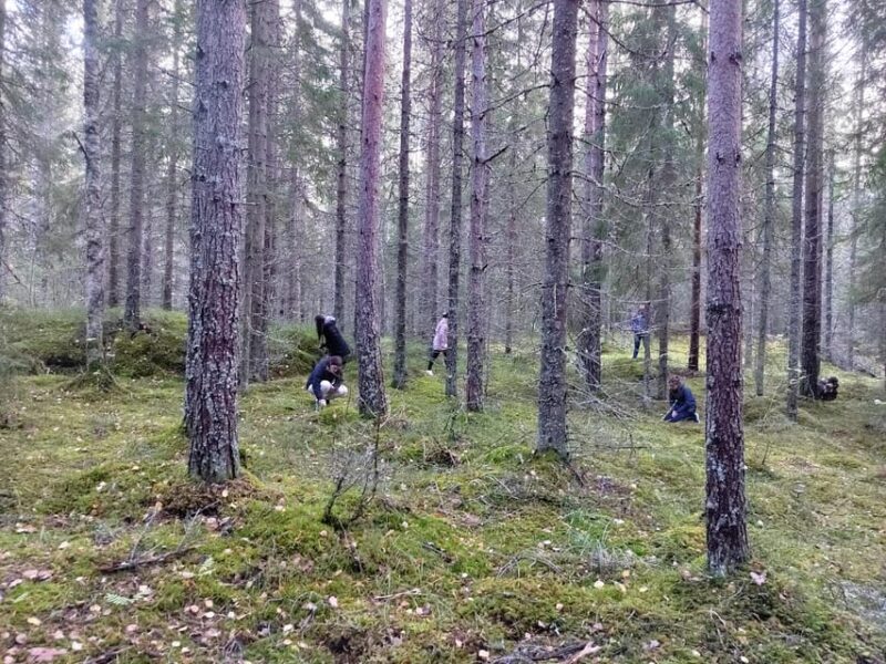 Kintulammi Nature Experience (Nature reserve near Tampere) - Practical Details: What to Expect