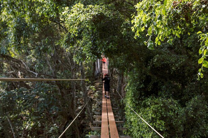 Kipu Zipline Safari - Kayak, Hike & Zipline with Outfitters Kauai - An In-Depth Look at the Kauai Adventure