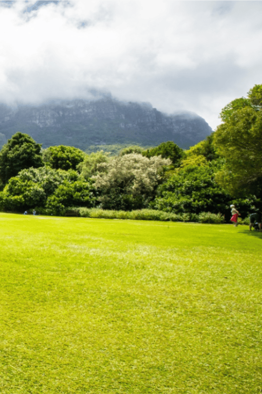 Kirstenbosch Botanical Garden and Constantia Wine Tasting - Good To Know
