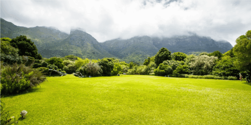 Kirstenbosch Botanical Garden and Constantia Wine Tasting - Itinerary Highlights