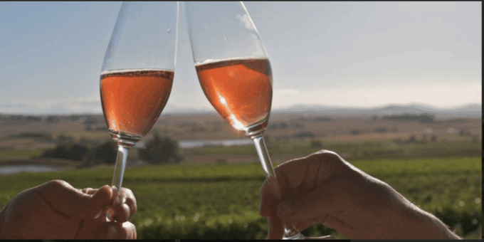 Kirstenbosch Botanical Garden and Constantia Wine Tasting - Wine Tasting Experiences