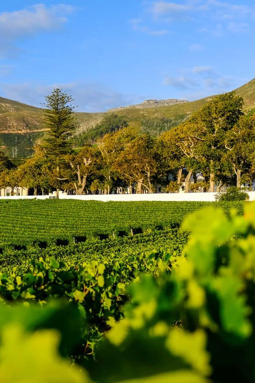 Kirstenbosch Botanical Gardens and Constantia Wine Tasting - Good To Know