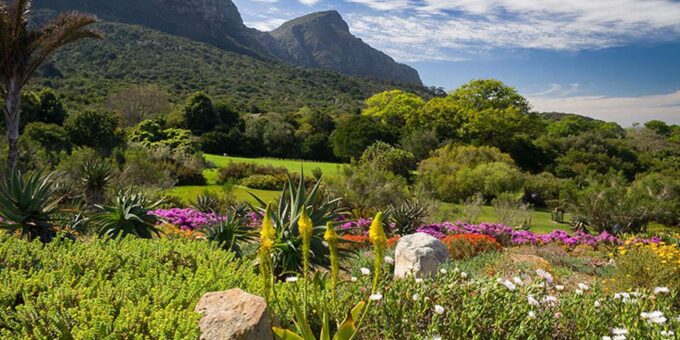 Kirstenbosch Botanical Gardens and Constantia Wine Tasting - Inclusions and Transportation