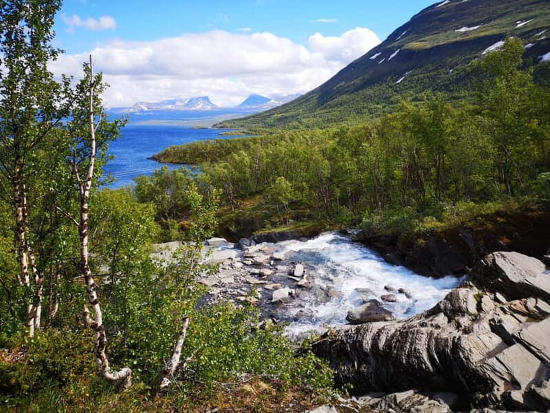 Kiruna: Abisko National Park Guided Day Tour with Lunch - Discover the Beauty of Abisko National Park on a Guided Day Tour from Kiruna