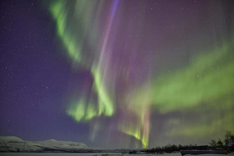 Kiruna: Abisko Northern Lights Tour with Dinner - The Practicalities: What You Need to Know