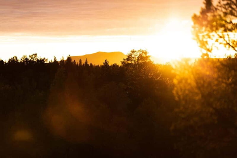 Kiruna: Arctic Summit Views in the Midnight Sun - Why This Tour Is Worth the Cost