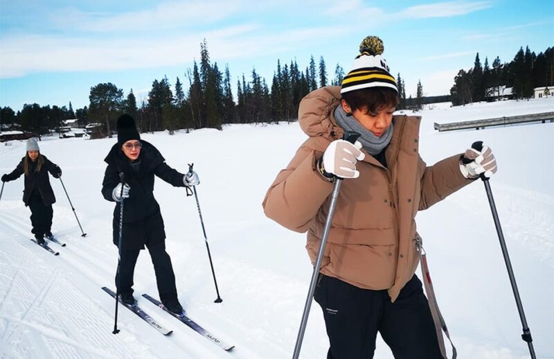 Kiruna: Cross-Country Skiing Tour with a Guide - Key Points