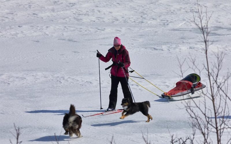 Kiruna: Cross-Country Skiing Tour with a Guide - Final Thoughts