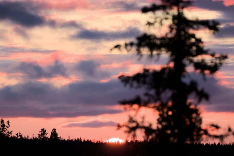 Kiruna: Northern Lights Dog Sled Tour with Swedish Fika - Practical Tips for Participants
