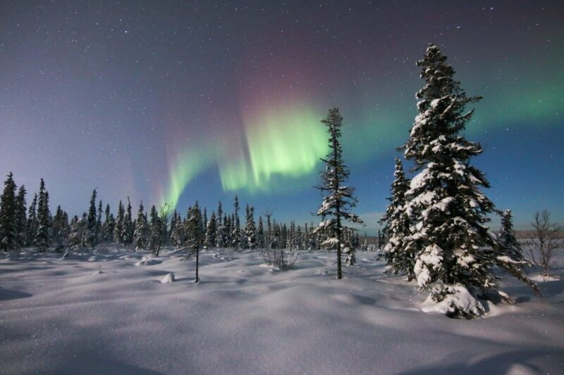 Kiruna: Northern Lights Minivan Chase with Warm Drink - Final Thoughts: Is This Tour Right for You?