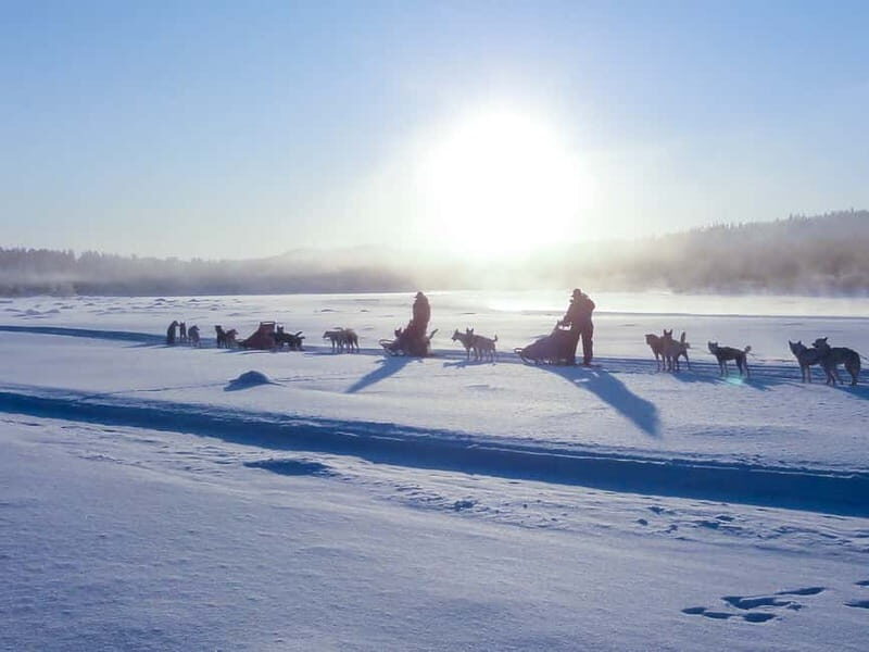 Kiruna: Self-drive Husky Morning Tour - What Makes This Tour a Great Value
