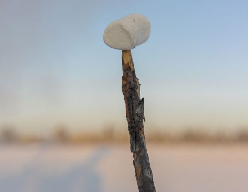 Kiruna: Snowshoe Hike & Ice Fishing Tour - Booking Information