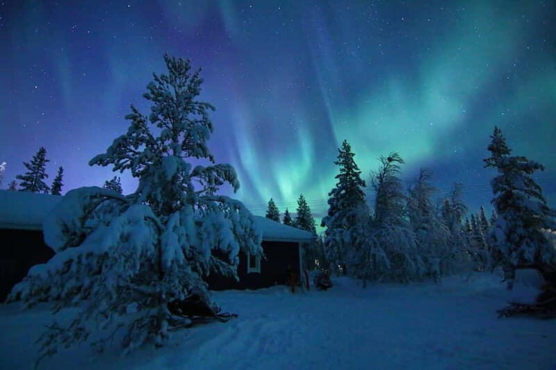 Kiruna: Snowshoe Trek with Aurora Hunt and Warm Beverage - Key Points