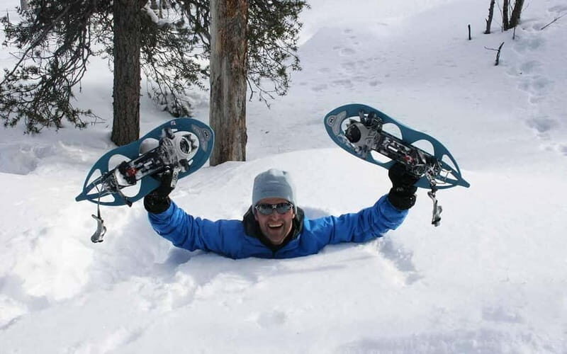 Kiruna: Snowshoe Trek with Aurora Hunt and Warm Beverage - A Closer Look at the Tour Experience