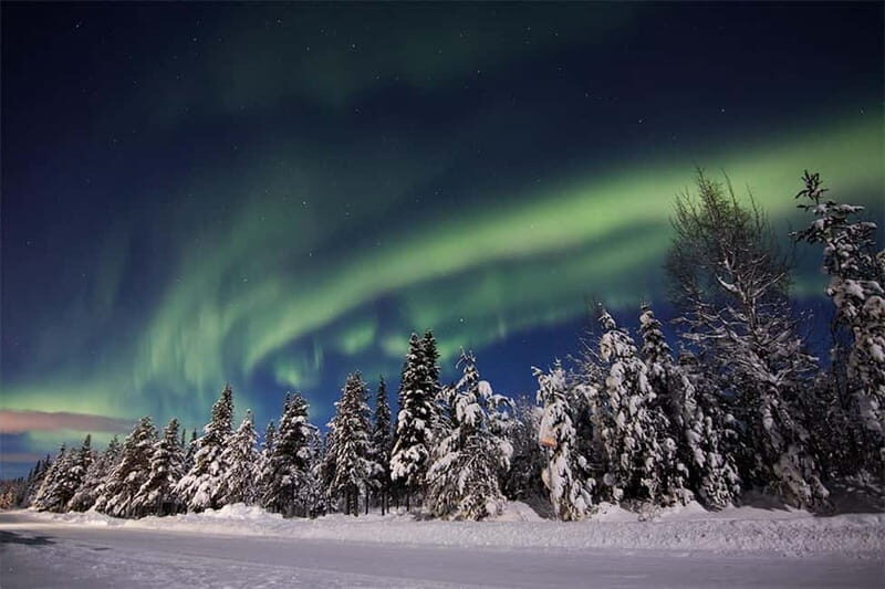 Kiruna: Snowshoe Trek with Aurora Hunt and Warm Beverage - Authenticity, Value, and Practicality