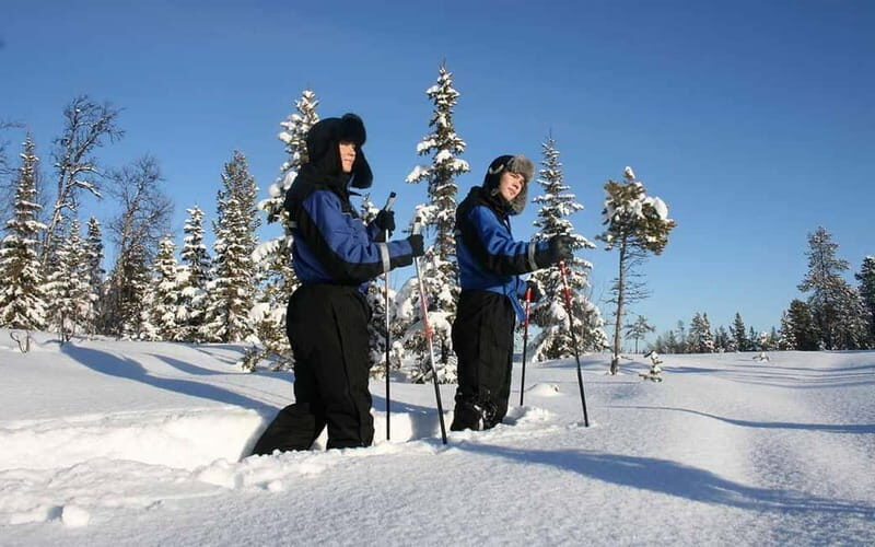 Kiruna: Snowshoe Trek with Warm Beverage and Sandwich - What Makes This Tour Special?