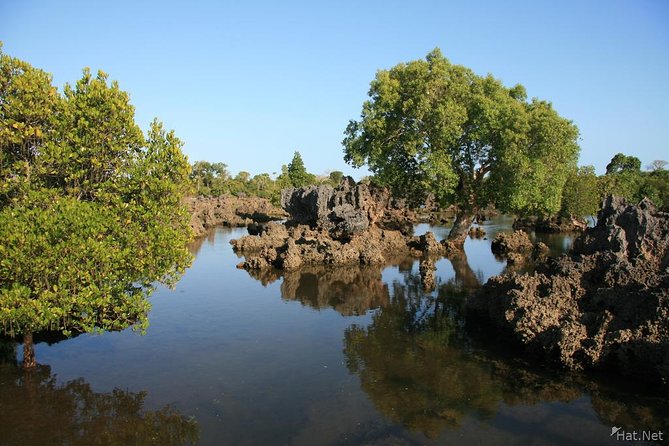 Kisite Marine Park Private Boat Snorkeling With Breakfast & Lunch - Highlights of the Experience