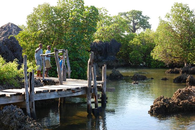 Kisite Marine Park Private Boat Snorkeling With Breakfast & Lunch - Dining and Refreshment Offerings