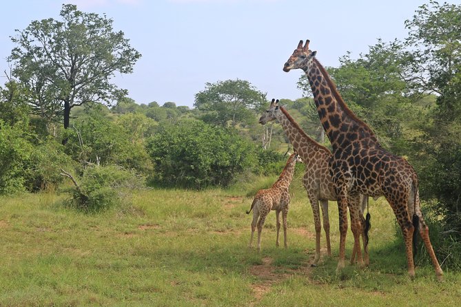 Kissama National Park Safari - Exploring Kissamas Diverse Ecosystem
