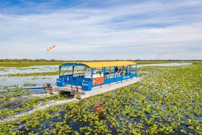 Kissimmee: 1 Hour Florida Everglades Pontoon Boat Tour - What Makes This Tour Stand Out?