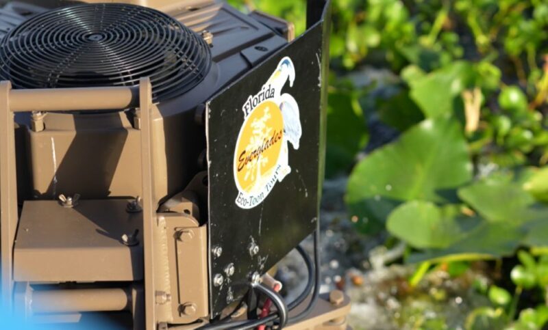 Kissimmee: 1 Hour Florida Everglades Pontoon Boat Tour - The Sum Up