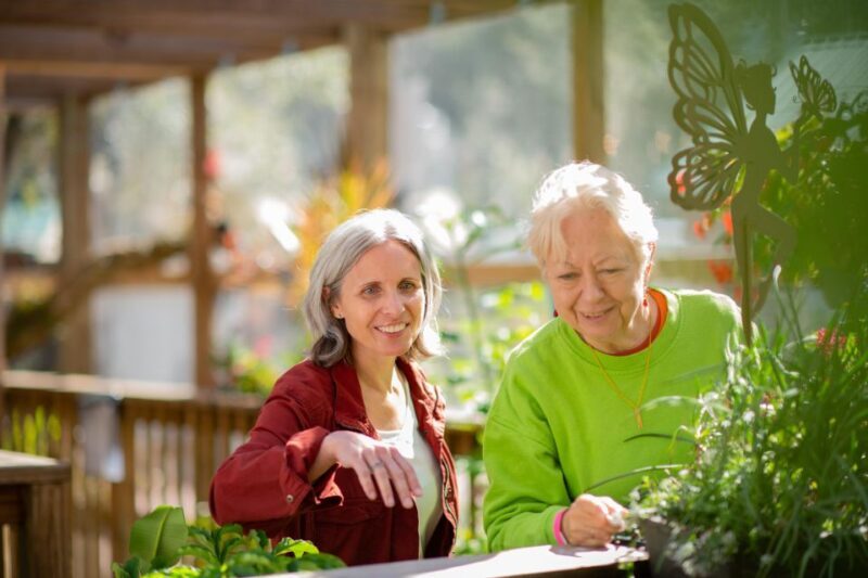 Kissimmee: Boggy Creek Airboat Ride with Optional Meal - The Airboat Ride: The Heart of the Tour