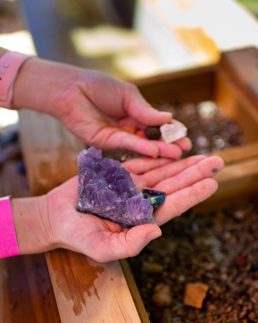 Kissimmee: Boggy Creek Airboat Ride With Optional Meal - Fossil & Gemstone Mining