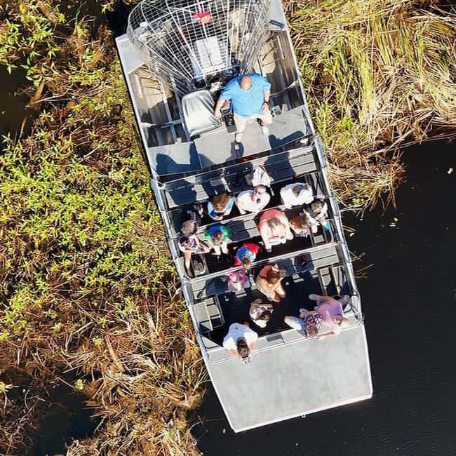 Kissimmee: Everglades Alligator and Wildlife Airboat Tour - What to Expect on Your Everglades Airboat Tour