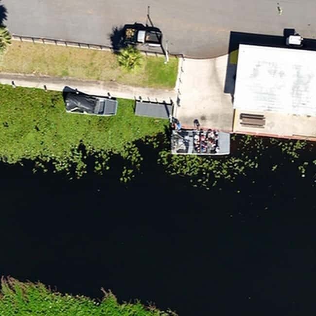 Kissimmee: Everglades Alligator and Wildlife Airboat Tour - The Sum Up