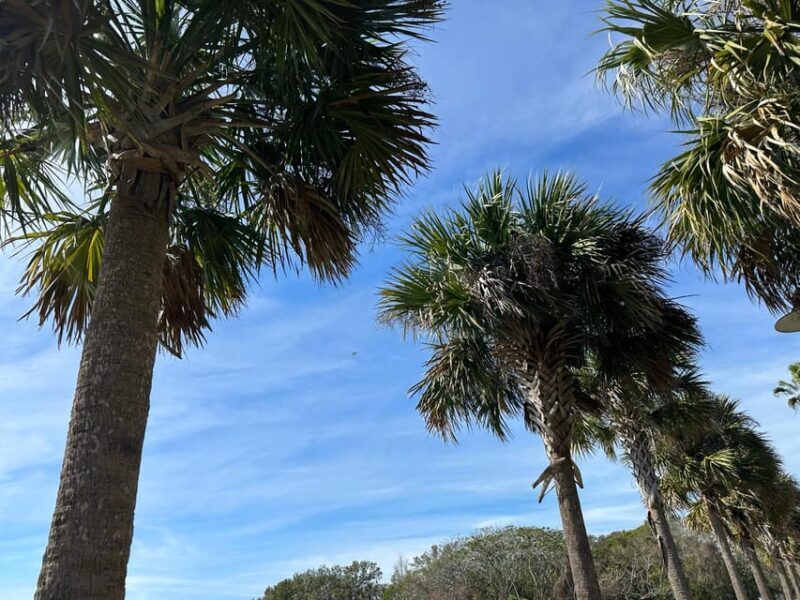 Kissimmee: Explore Lakefront Adventure on Electric Trike - The Experience from Real Travelers