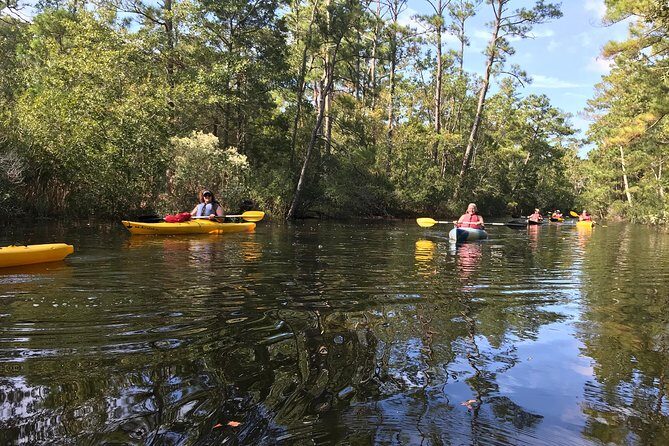 Kitty Hawk Maritime Forest Kayak Tour - Key Points