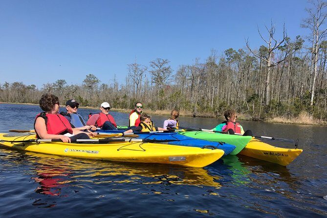 Kitty Hawk Maritime Forest Kayak Tour - An In-Depth Look at the Tour