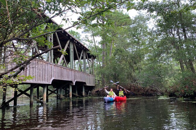Kitty Hawk Maritime Forrest and Marsh Tour - A Deep Dive into the Tour Experience
