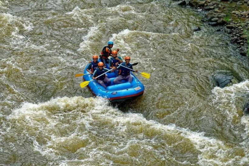KL: Day Tour with Rafting, Fireflies, and Meals - Who Would Love This Tour?