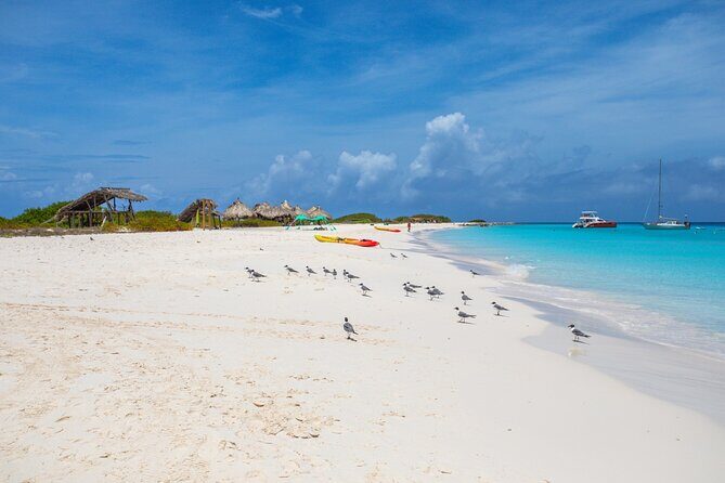 Klein Curacao Sunset Cruise with Open Bar and BBQ - The Sum Up: Who’s This Tour For?